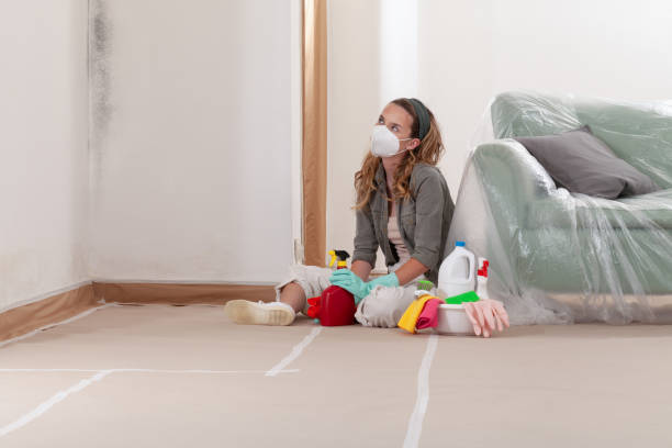 Reliable Mold Testing contractor in Salisbury, PA by WQB Mold Removal