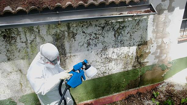 Top rated local Mold Testing specialists in Salisbury, PA